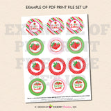 Sweet Strawberry Birthday - Printable Cupcake Toppers - Instant Download PDF File - inkberrycards