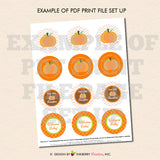 Little Pumpkin Baby Shower - Printable Cupcake Toppers - Instant Download PDF File - inkberrycards