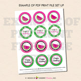 Sweet Watermelon Birthday (Pink) - Printable Cupcake Toppers - Instant Download PDF File - inkberrycards